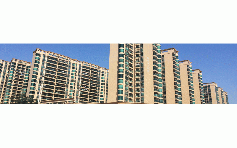 深圳的冬天終于來了，2015